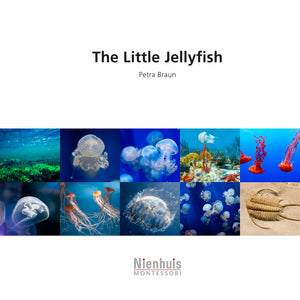 The Little Jellyfish