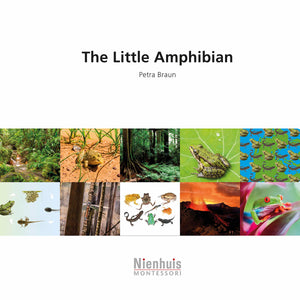 The Little Amphibian