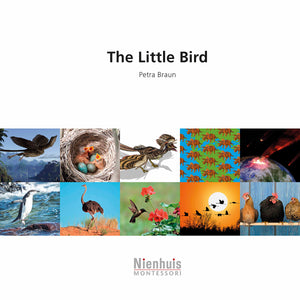 The Little Bird