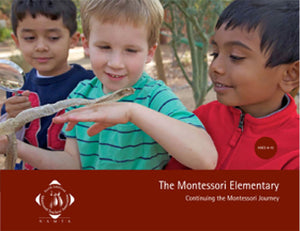 The Montessori Elementary: Continuing The Montessori Journey