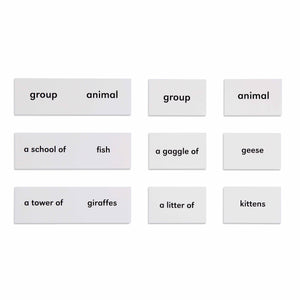 Animals And Their Groups