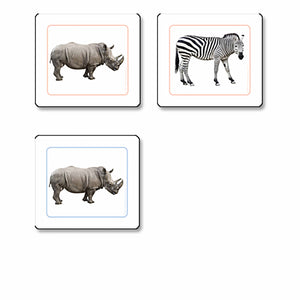 African Animals Matching Cards