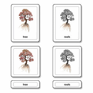 Parts Of A Tree