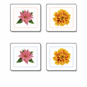 Flowers Matching Cards