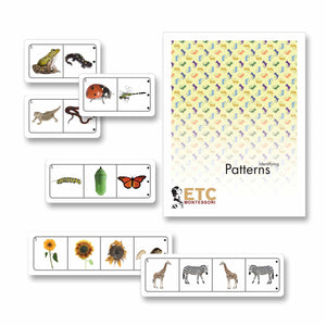 Looking For Patterns In Life Science