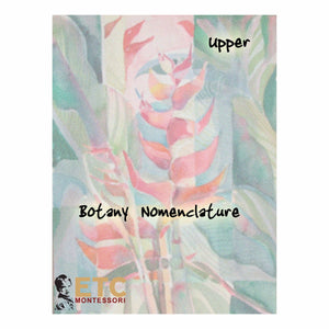Upper Elementary Botany Nomenclature